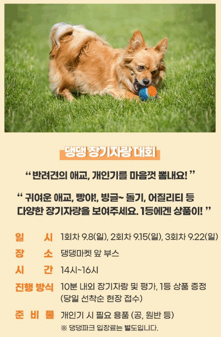 댕댕장기자랑