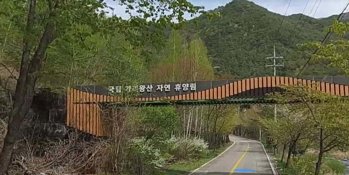 가리왕산 자연휴양림 예약, 데크, 캠핑, 휴양관 한눈에 보는 완벽 가이드