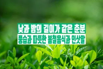 2025년 춘분 청명 봄 절기 인사말 이미지 일러스트_21