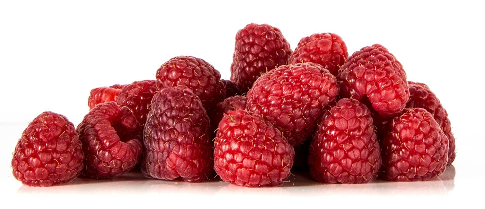 야생에서 채취를 한 산딸기 열매를 잘 세척한 후에 하얀 바닥에 수북하게 쌓아두고 확대를 하여 찍은 사진