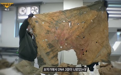 보자기DNA검출