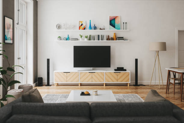 TV 시청
