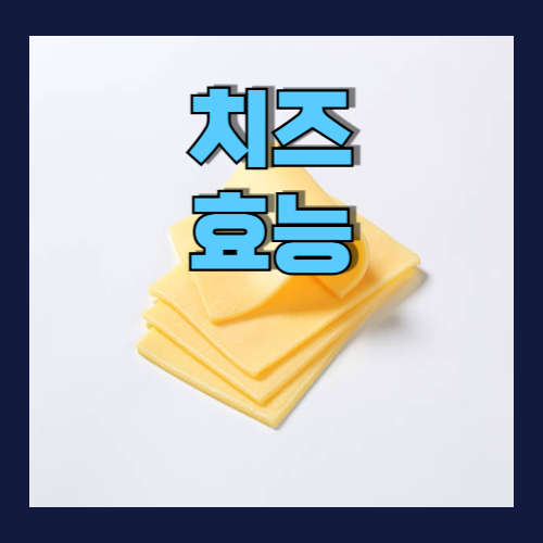 치즈 효능