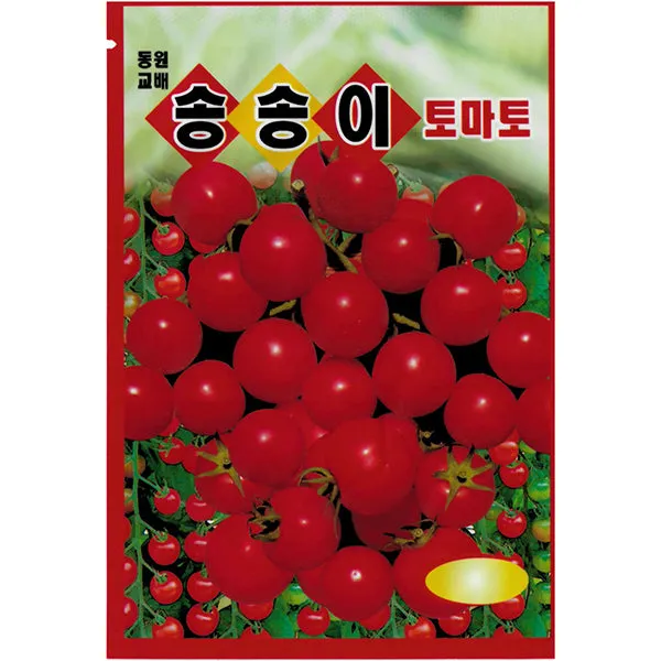 방울토마토 재배 방법_6