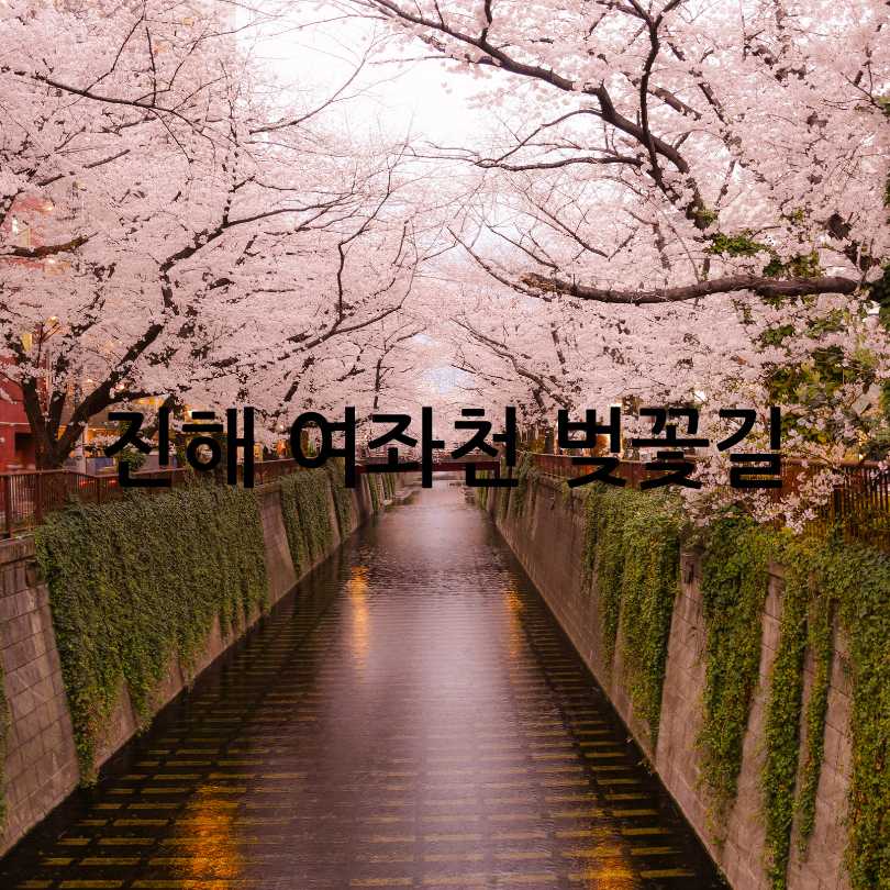 우리나라 3대 벚꽃길 총정리