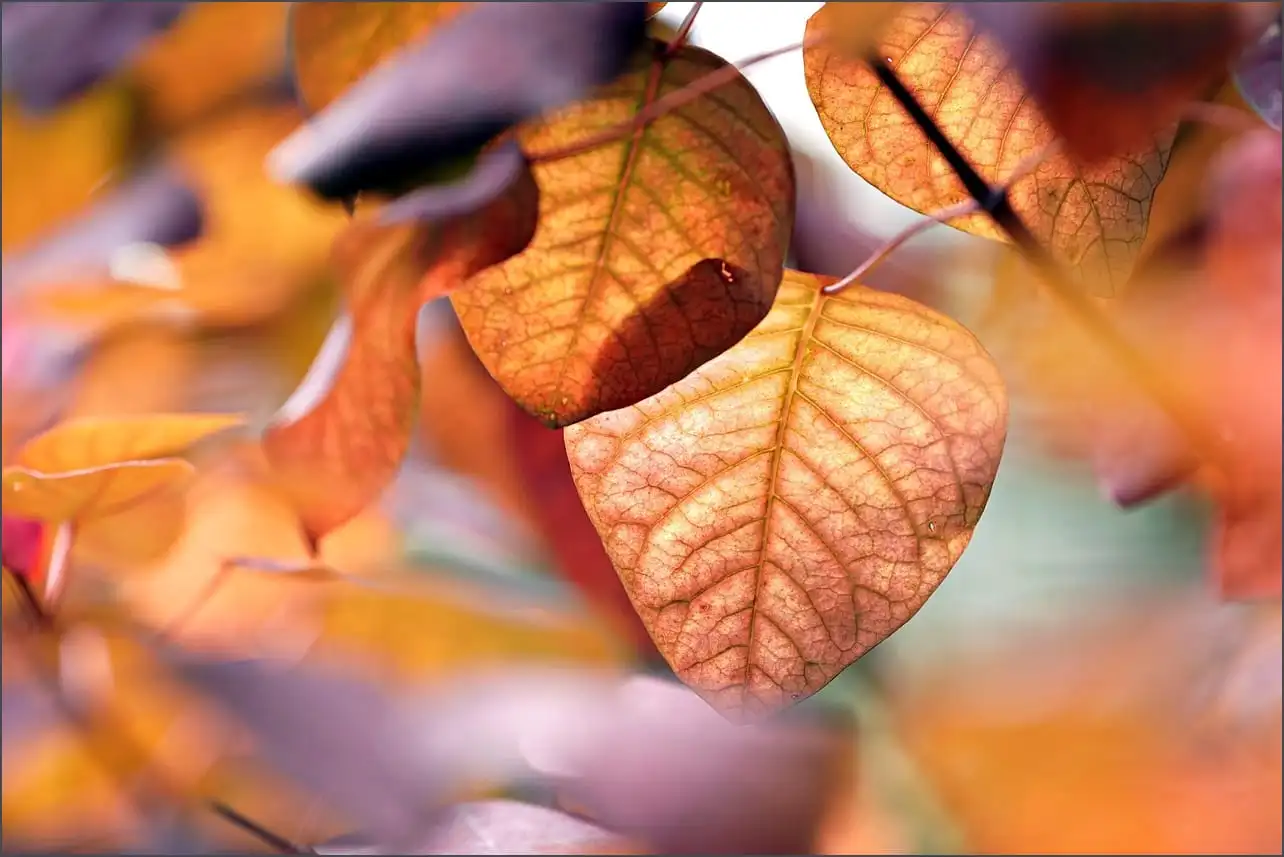 동네 한 바퀴 안동편