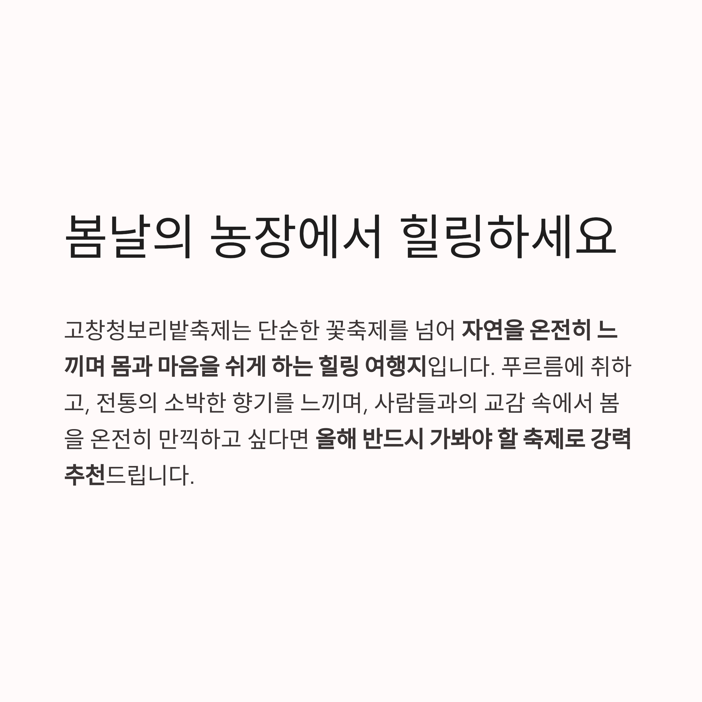 2025 고창청보리밭축제, 초록의 파도 속으로!