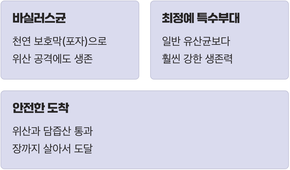살아있는 유익균, 장까지 안전하게