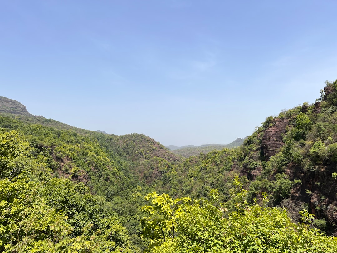 Hwadam Forest