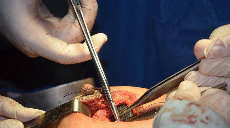 품질보증, 검사 기준과 절차 안내