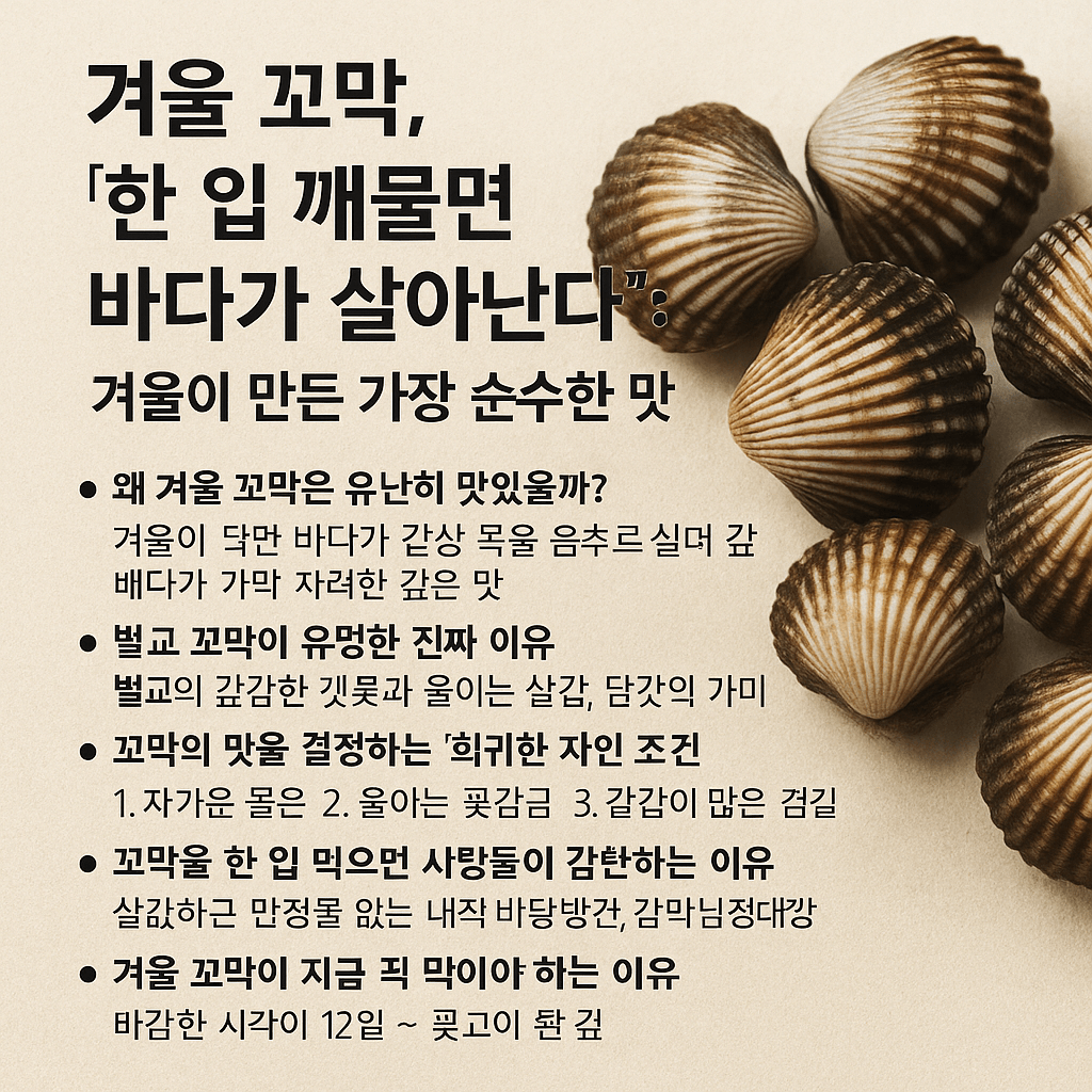 겨울 꼬막, &ldquo;바다의 작은 보석이 가장 빛나는 계절&rdquo;