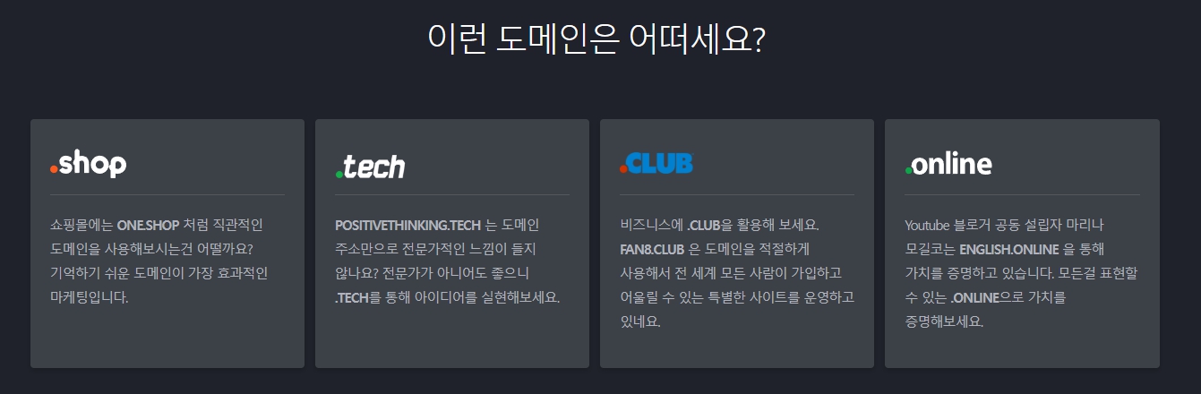 호스팅케이알 가성비 도메인 구매