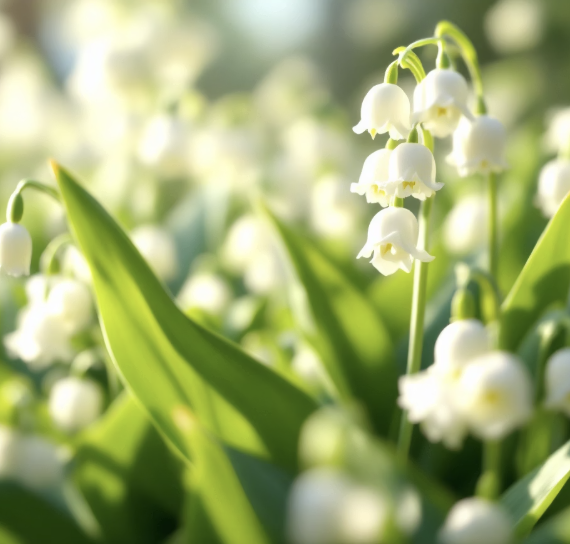 행복을 약속하는 작은 종소리