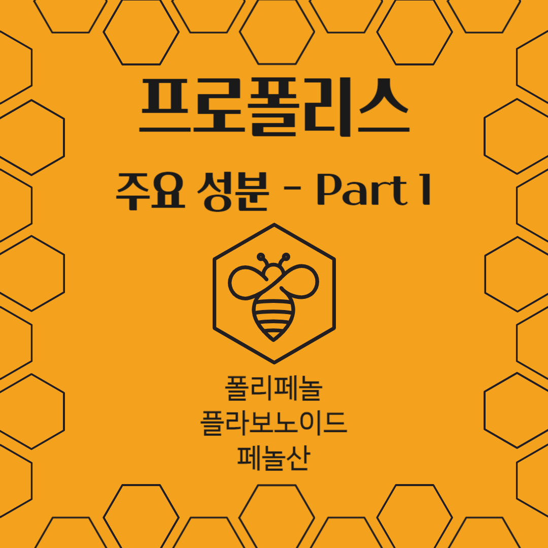 프로폴리스 주요 성분 Part 1