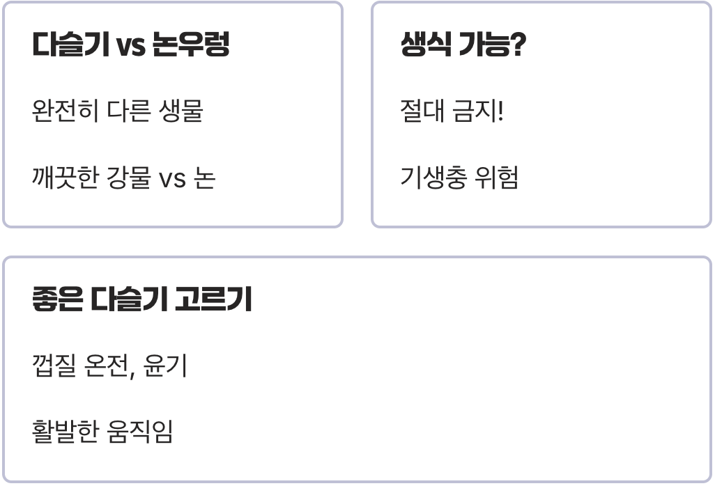 다슬기효능 A to Z (간 건강, 숙취해소, 뼈 건강 총정리)