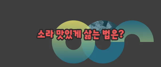 소라 삶는법 한번 정확하게 알아보도록 하죠
