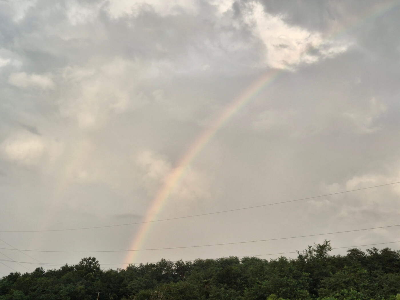 열정 명언 노력 연예인 유명한 말