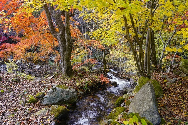 산림기사