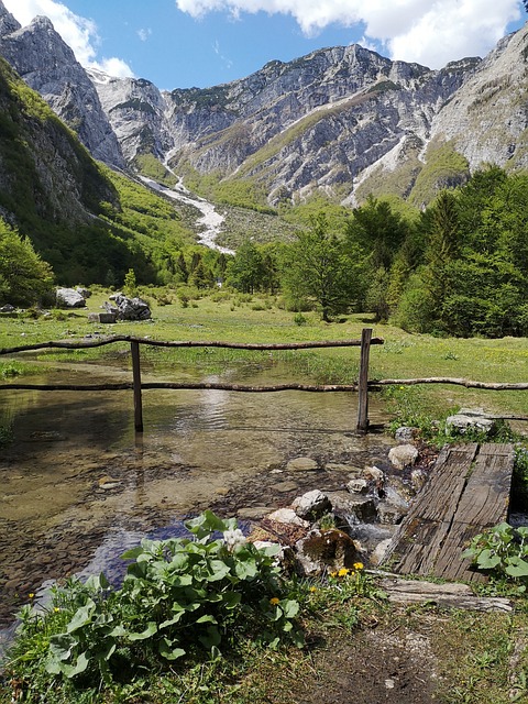 자연 다큐멘터리