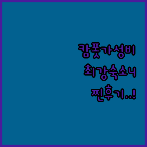 캄보디아 캄폿 숙소 추천 가성비 호텔..