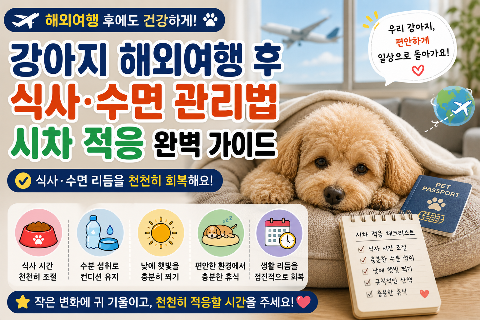 강아지 해외여행 후 식사·수면 관리법|시차 적응 완벽 가이드