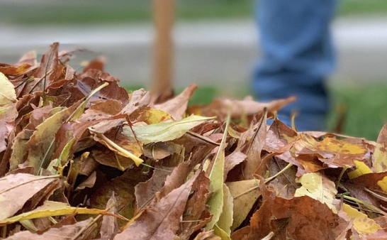 돈 모으는 가장 현실적인 방법 관련 사진