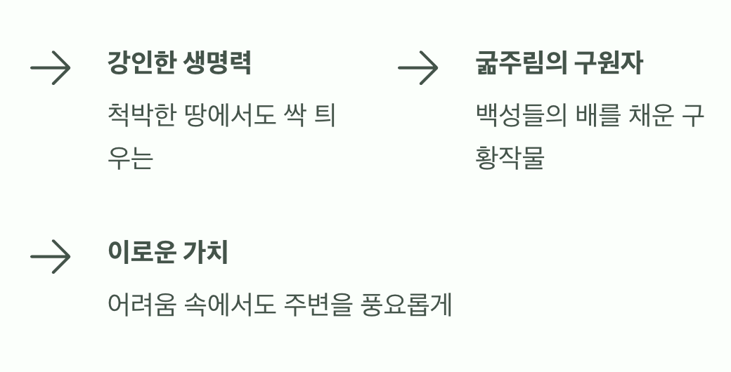 가난을 구원한 깨끗한 생명력