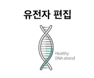 PCSK9 유전자 편집 과정
