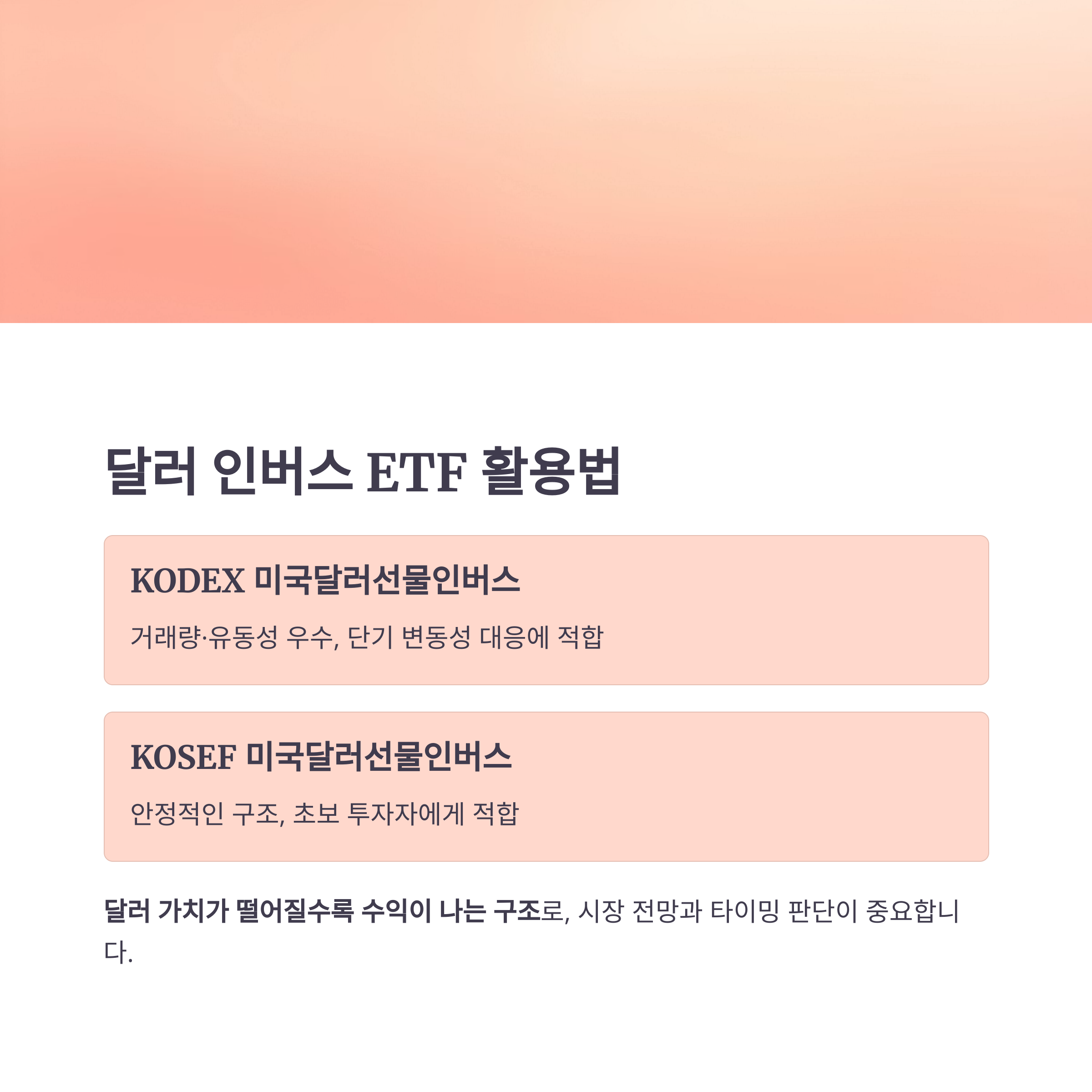 달러 약세 시대, 현명하게 투자