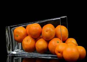 당뇨병 초기증상 수치 원인