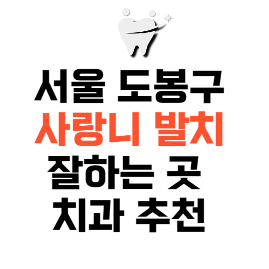 서울 도봉구 사랑니 치과 발치 잘하는 곳 추천 매복 가격 비용서울 도봉구 사랑니 치과 발치 잘하는 곳 추천 매복 가격 비용.png