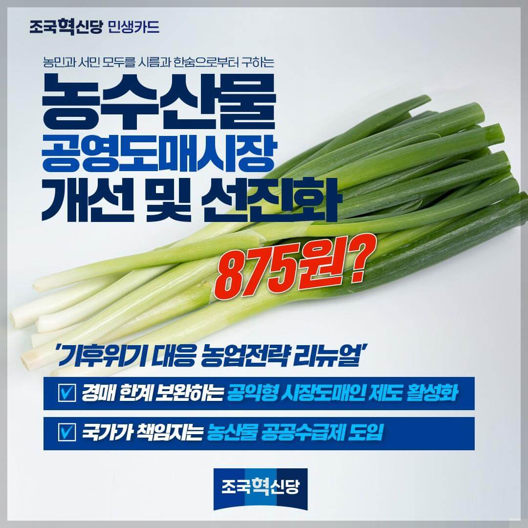 조국혁신당 민생카드 9대 분야 정책 공약&amp;#44; 1호 공약&amp;#44; 토익 등 자격증 유효 기간 5년으로 연장 