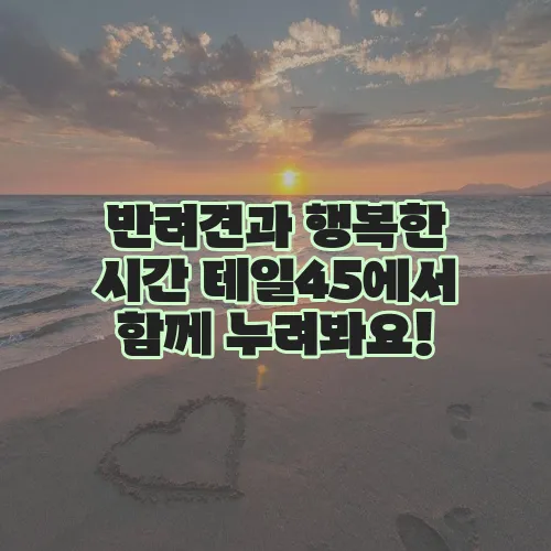 반려견과 행복한 시간 테일45에서 함께 누려봐요!