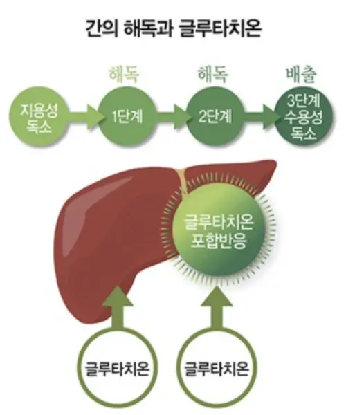 글루타치온