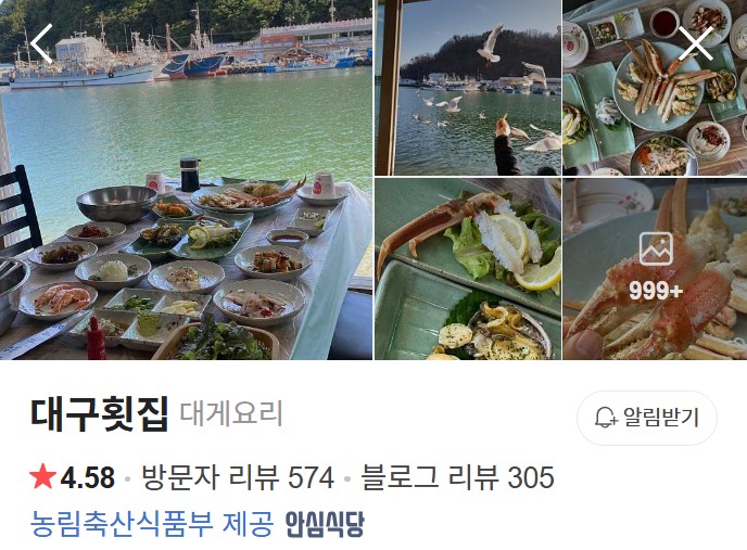 영덕 대구횟집 플레이스