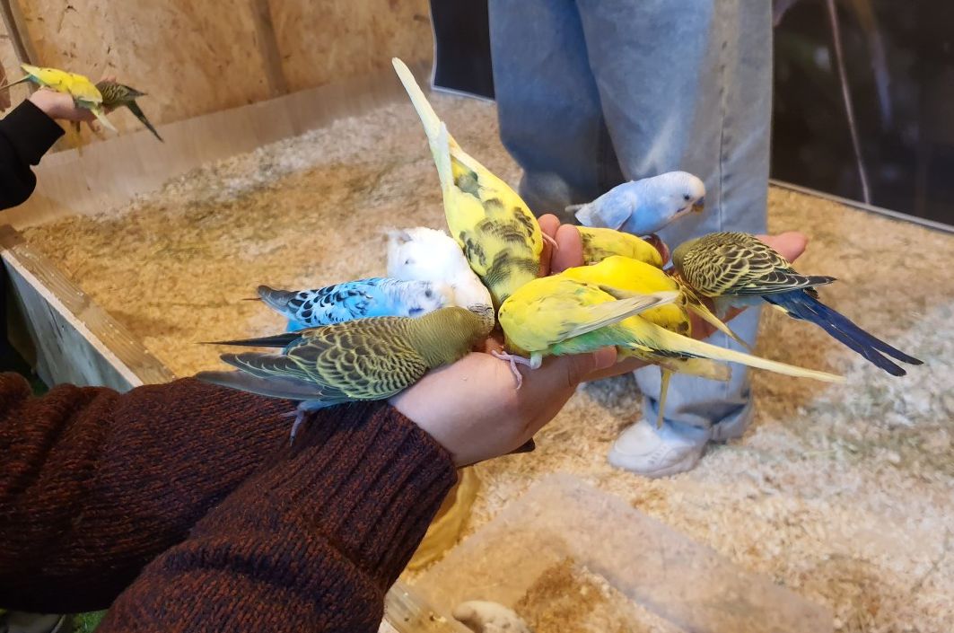 플레이정글 춘천엔타점