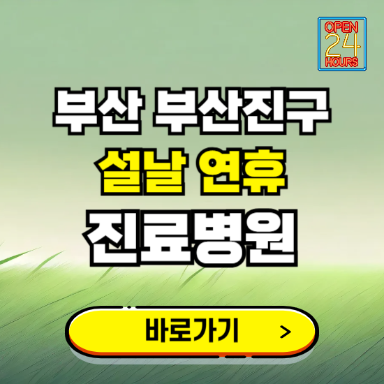 부산 부산진구 설날 연휴 진료병원 찾기 ❘ 24시 응급 야간 심야 문여는 병원