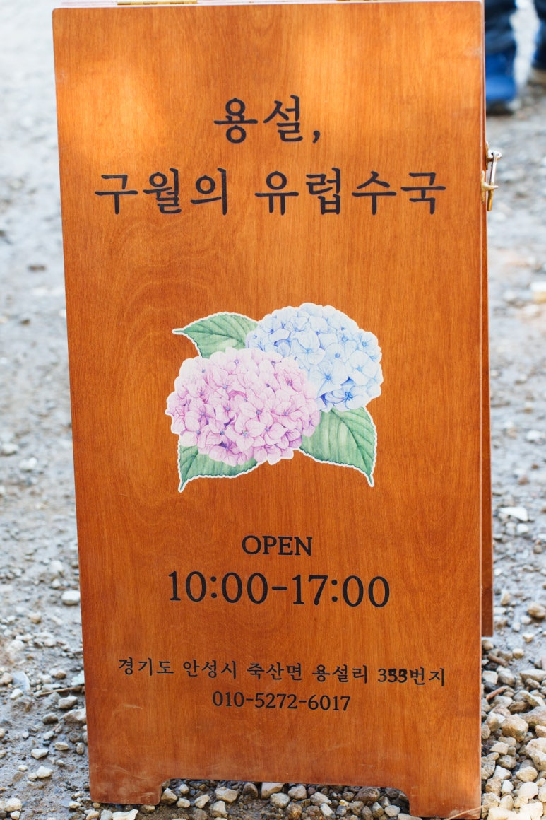 용설-수국축제-안내판