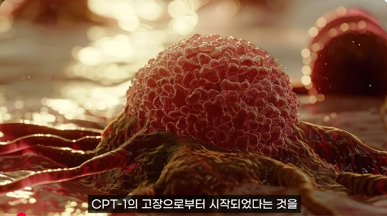 3개월에 -9kg, 적게 먹고 운동하기 아닙니다...이 스위치를 켜야 ( 홍슐린채널 영상 캡처 )