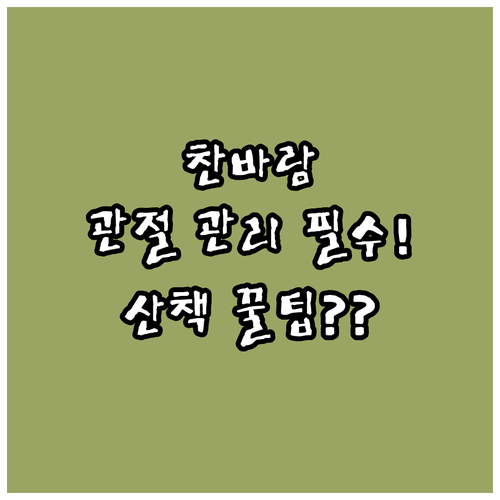 찬 바람 불 때 반려견 관절 관리 안..