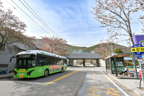 와와버스 사진입니다.