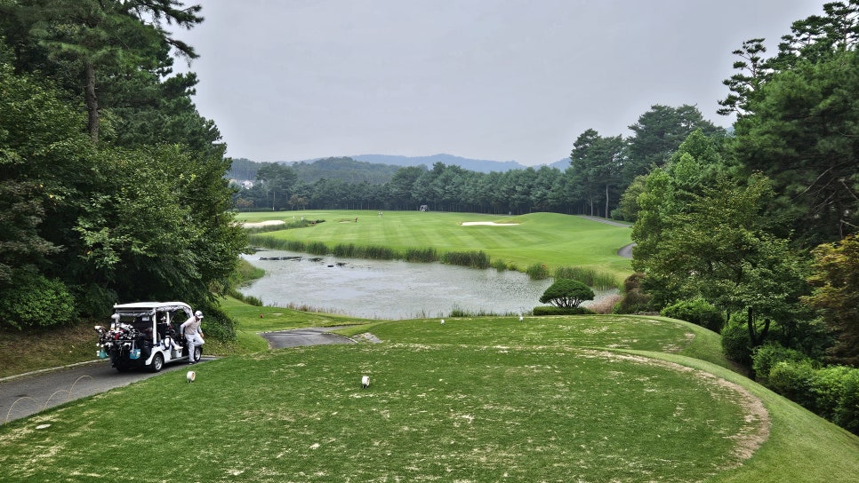 골프장 경험담 여주 세라지오CC 자연 속에서 즐기는 프리미엄 퍼블릭 골프장의 품격