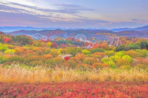 등산 싫어하는 '단풍러'들 필독! 놀이기구 타면서 즐기는 '에버랜드 단풍놀이' 숨은 명소 A to Z