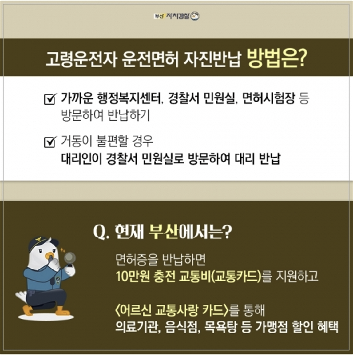 부산시 운전면허 반납 혜택 안내