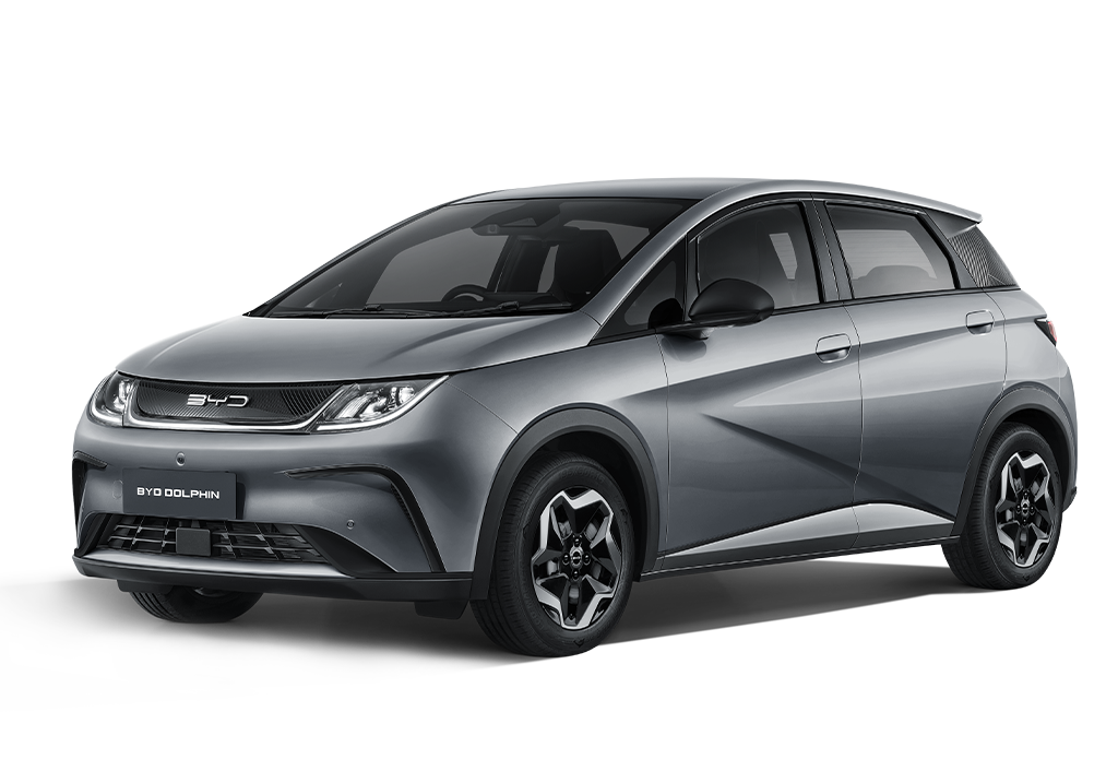 BYD 차종