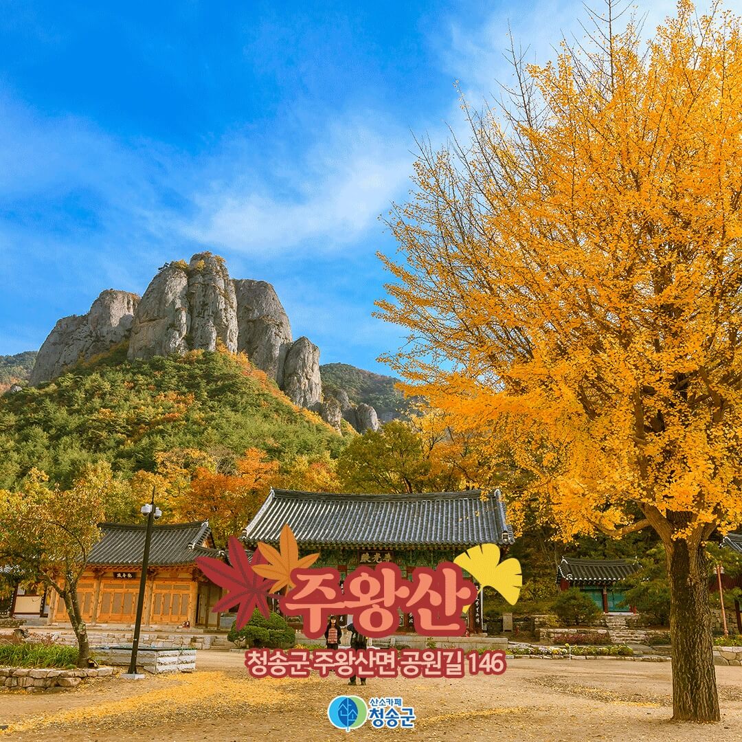 경북 청송 단풍명소 주왕산