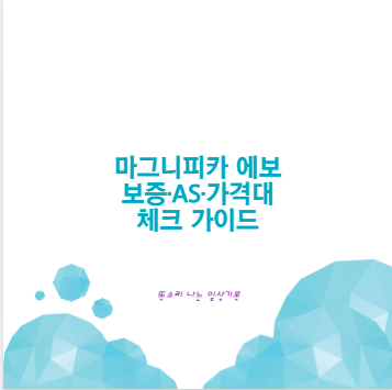 마그니피카 에보 보증&middot;AS&middot;가격대 체크 가이드