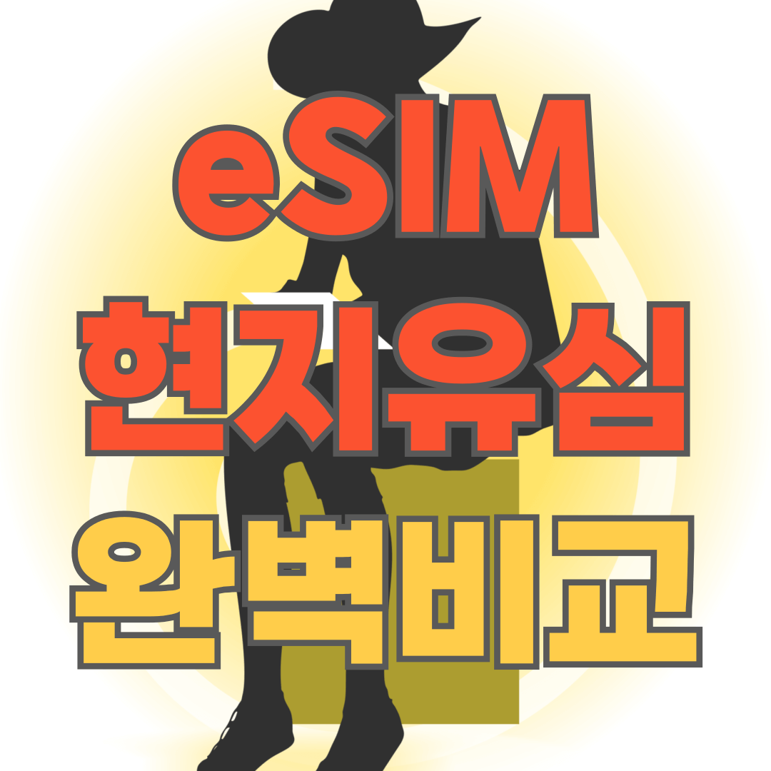 이심 유심 비교