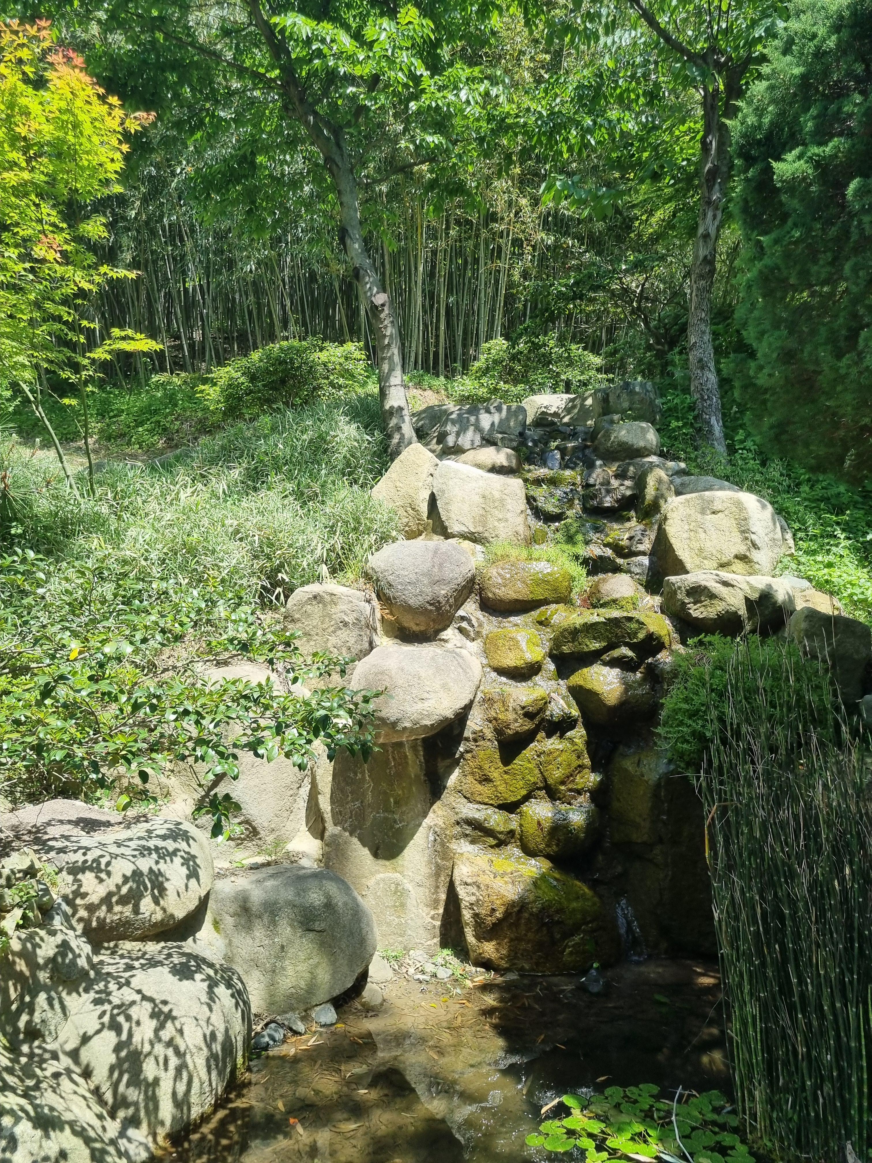 아홉산 숲