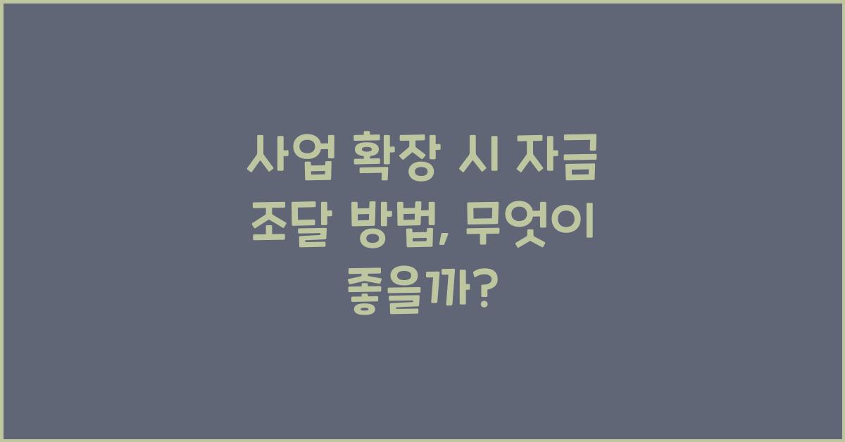 사업 확장 시 자금 조달 방법 (정부 지원금 vs 투자 유치 vs 대출)